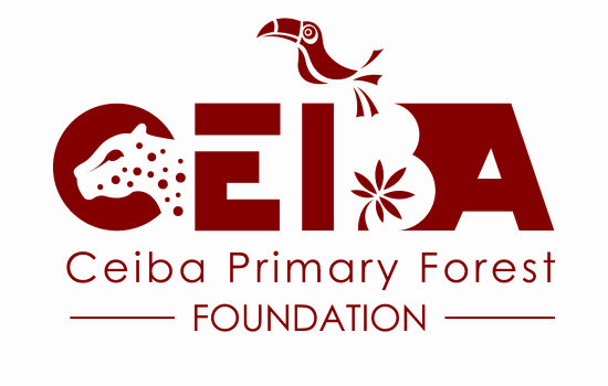 The Ceiba Primary Forest Foundation