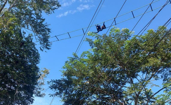 electrical transformer