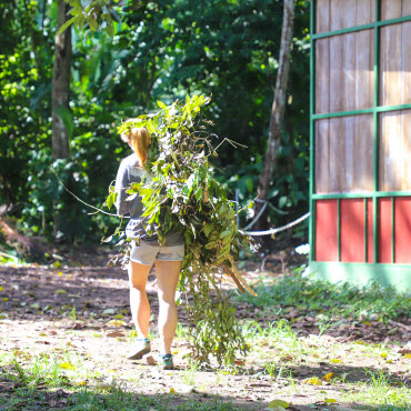 volunteer program jrc