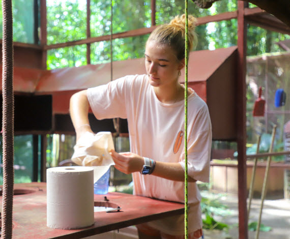 jrc 4 week volunteer program