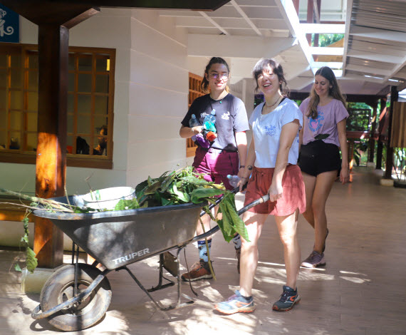 jrc 4 week volunteer program