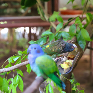 jrc long term volunteer