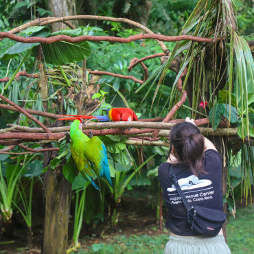 jrc long term volunteer