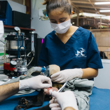 jrc nursery volunter program