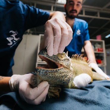 jrc nursery volunter program