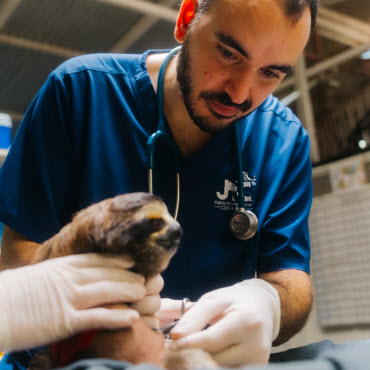 nursery assistance volunteer program