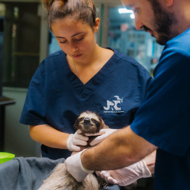 nursery assistance volunteer program