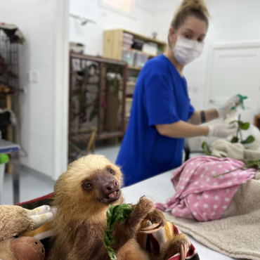 jrc nursery volunter program