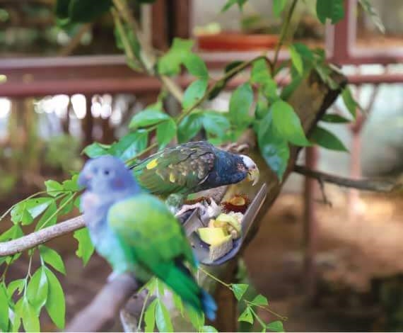 2 week volunteer program in costa rica