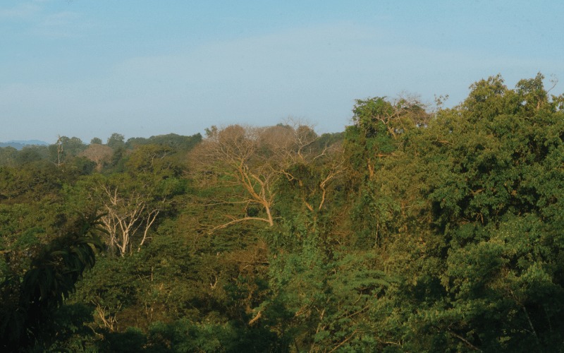 JRC Sanctuary Achieves Biosphere Certification