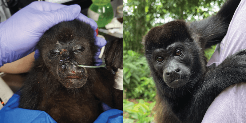 Biwindi's Remarkable Transformation
