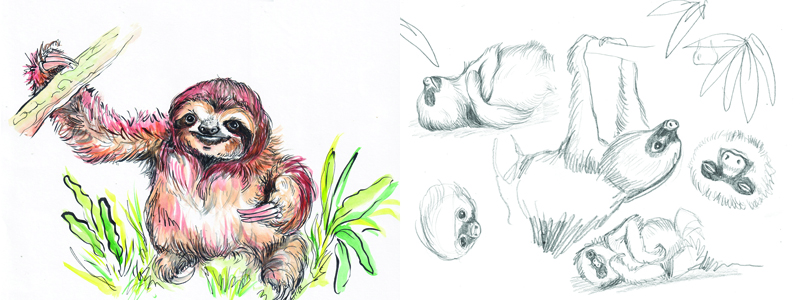 Sloth Drawing Class
