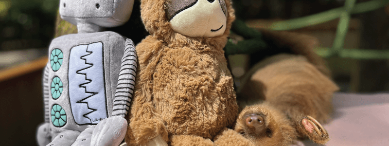 Sloths: Icons of Relaxation and the Endless Products They Inspire
