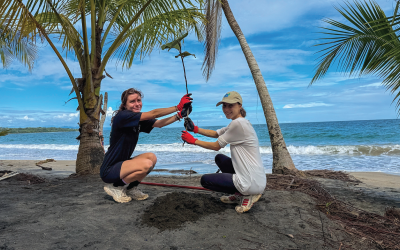 Planting Trees, Restoring Habitats: Rewilding Playa Manzanillo