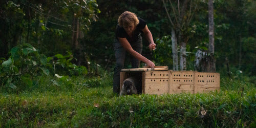 La Ceiba Release Station