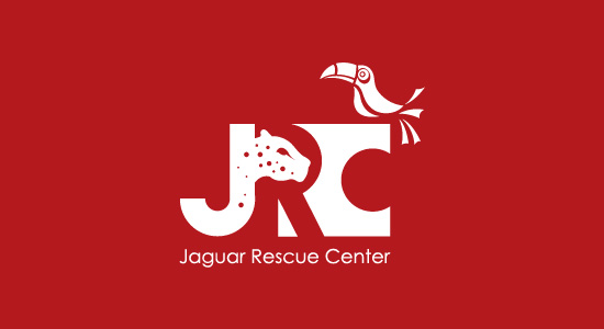 Jaguar Rescue Center