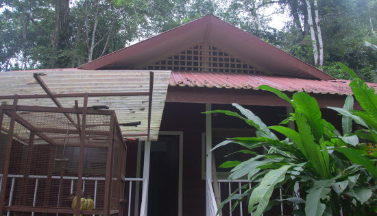 La Ceiba Heliconias House