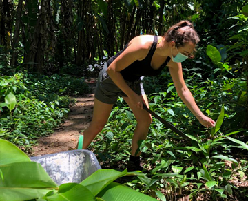 wildlife volunteering costa rica