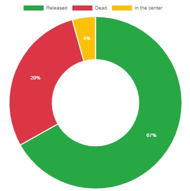 JRC Repitles statistics