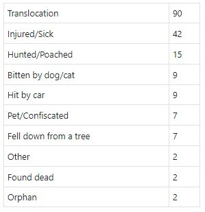 JRC Repitles statistics